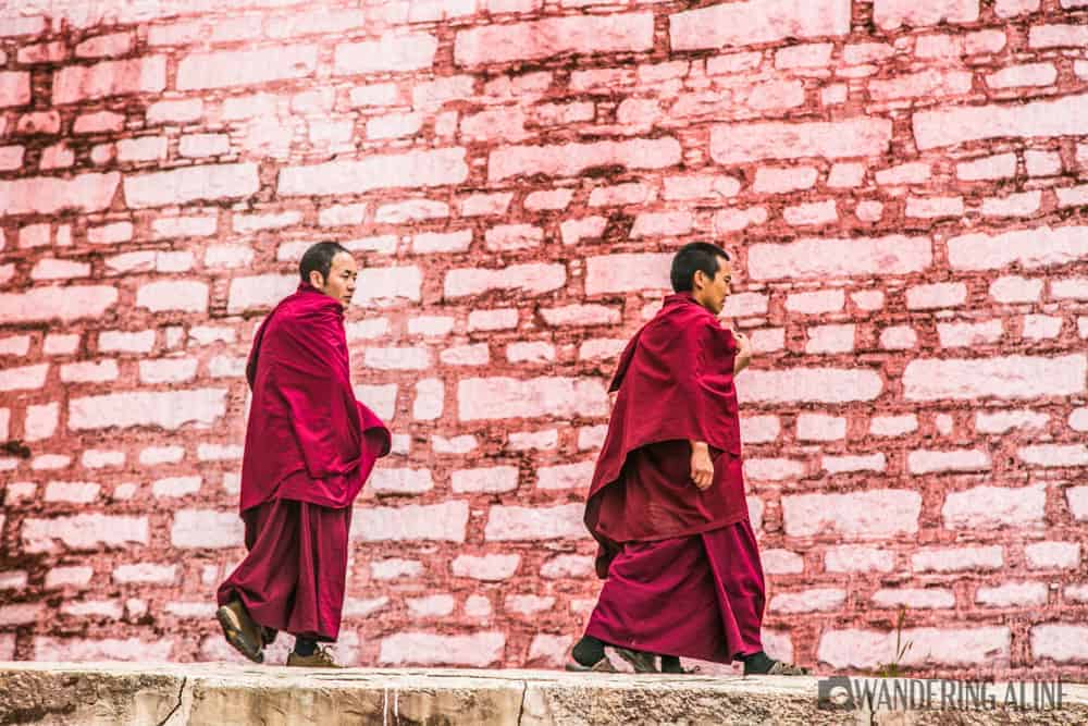 Tibet - Moines Au Tibet