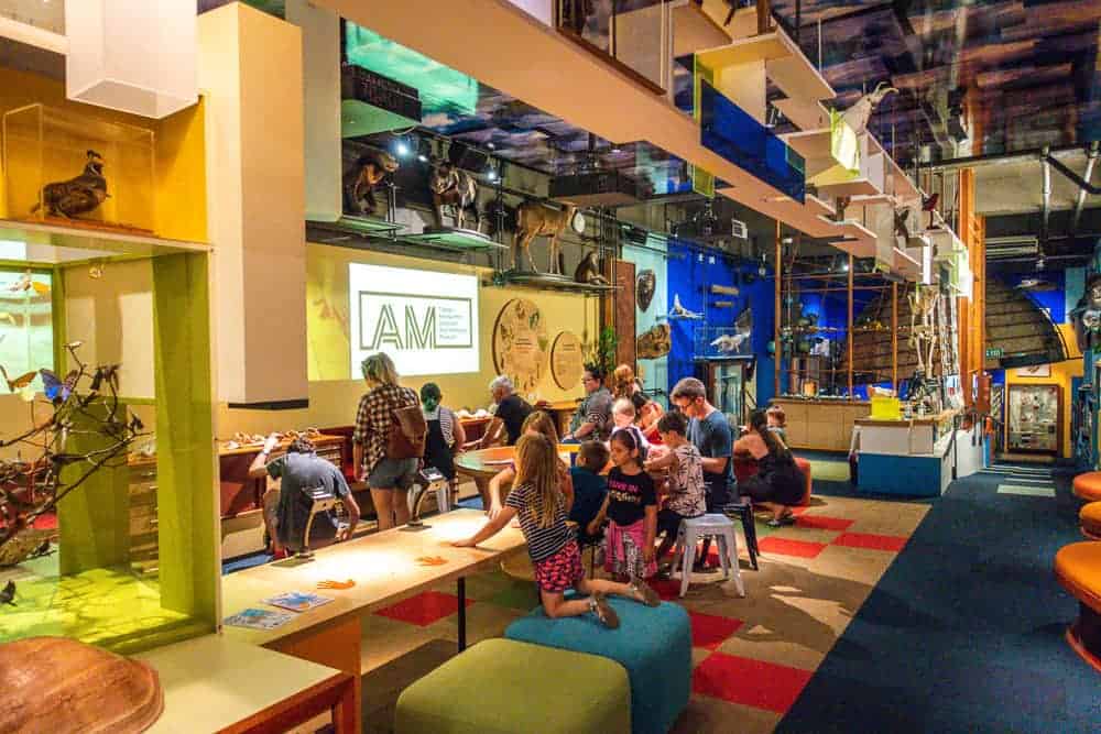 Auckland - War Memorial Museum