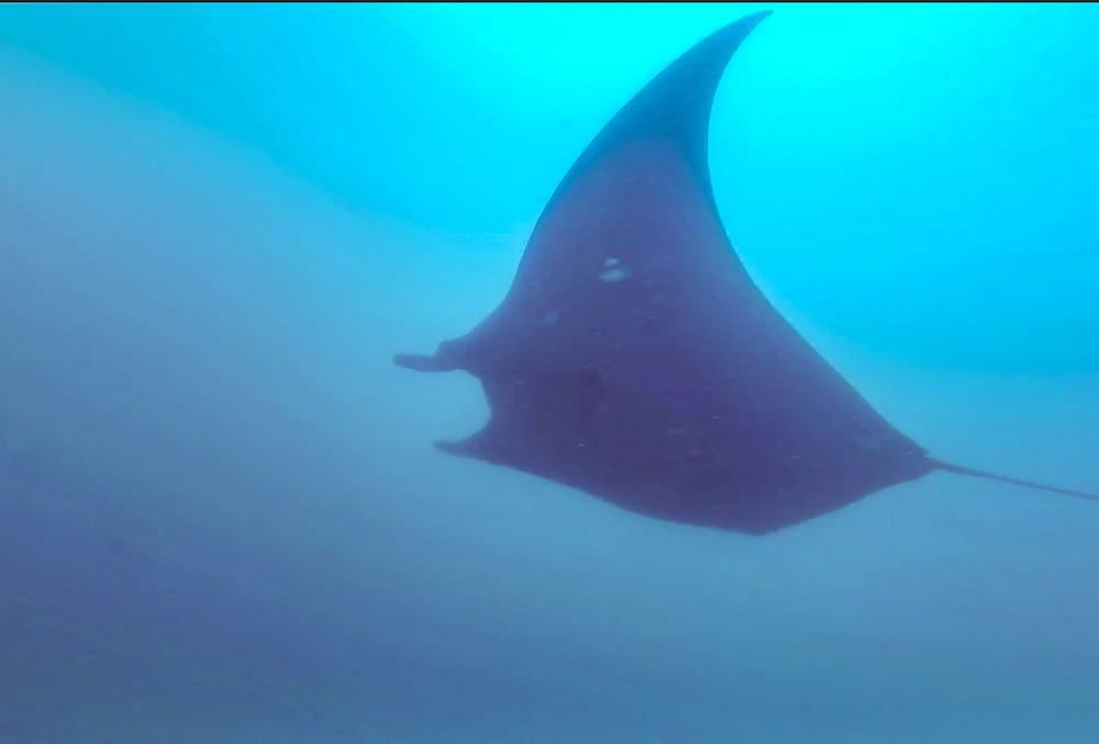 emmanuelle – equateur—