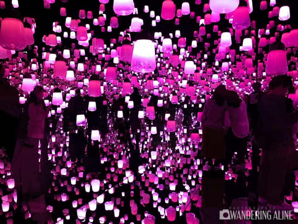 Exposition Teamlab Borderless