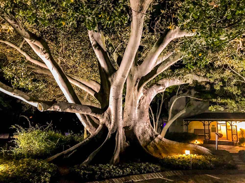 Protea Hotel By Marriott Cape Town Mowbray