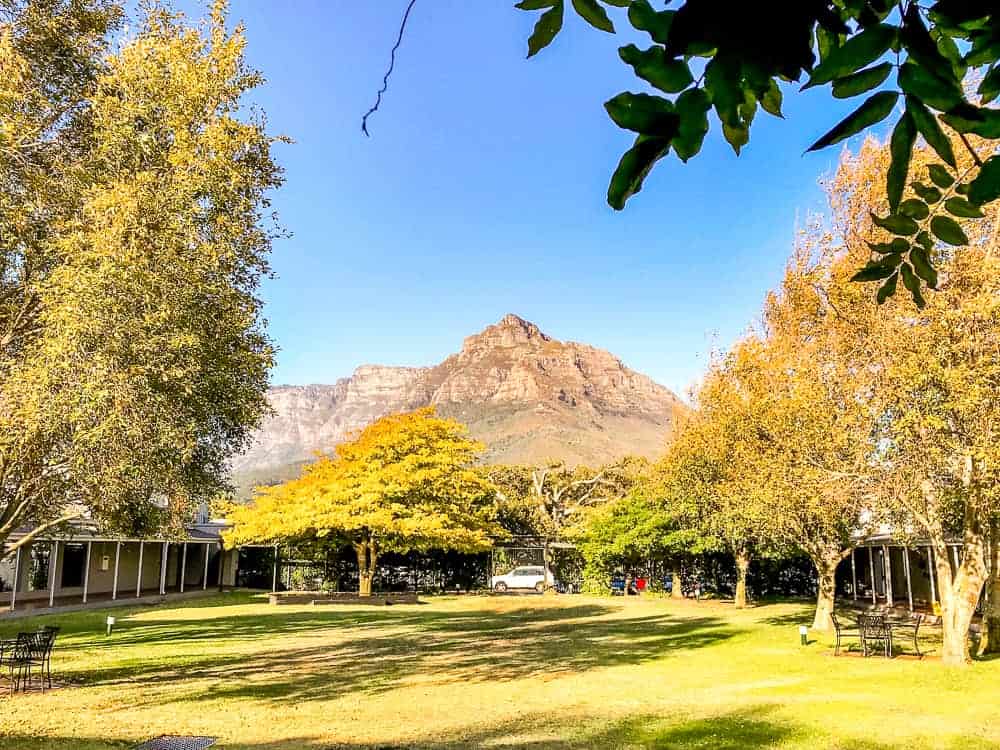 Protea Hotel By Marriott Cape Town Mowbray