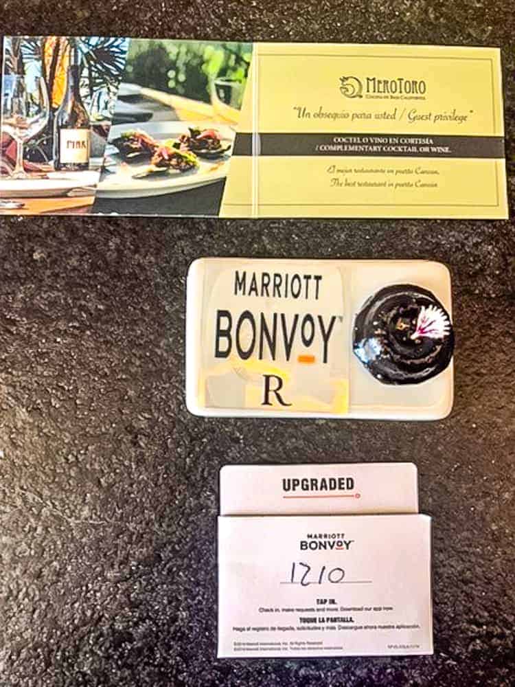 Renaissance Cancun Resort Marina