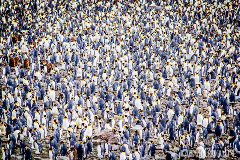 Ca B F Ed Bc Ca D Bbbfb