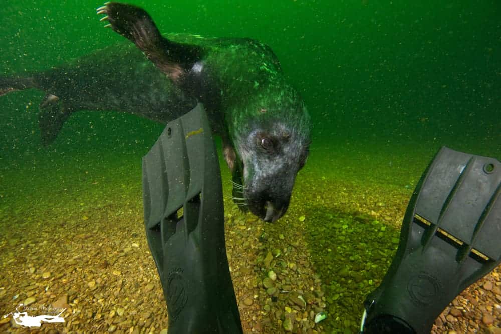 Club Nautique Percé Steven Melancon