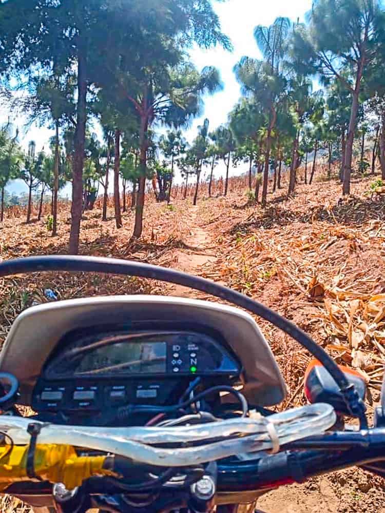 Randonnée en forêt et en moto