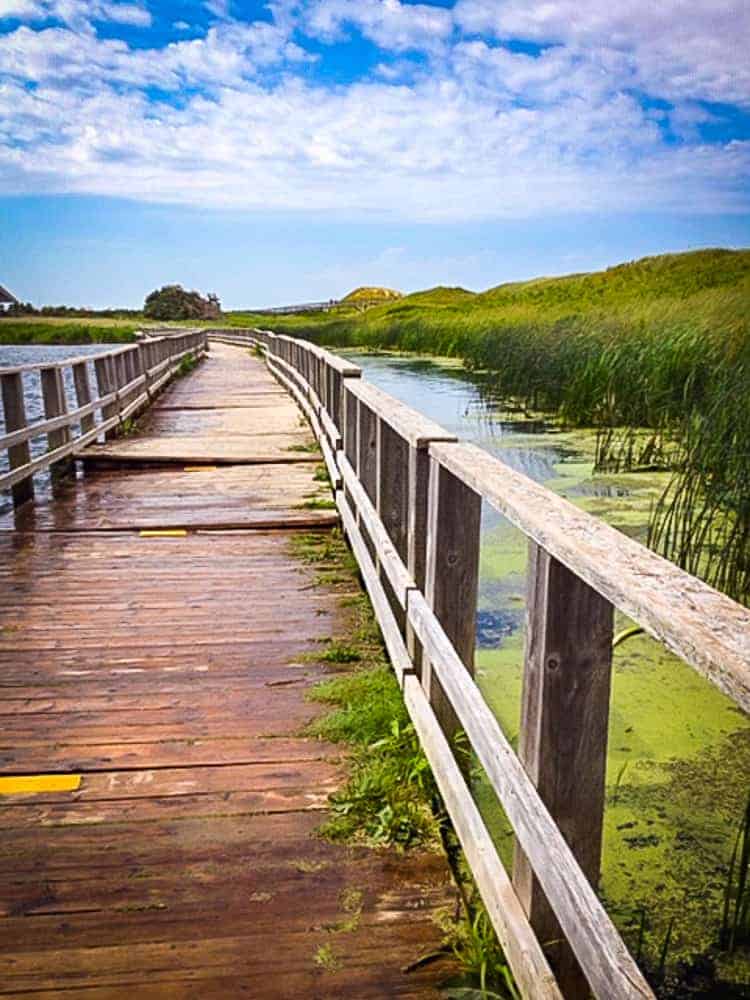 Randonnée Promenade sur un pont