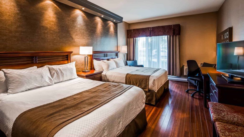 Qq Signature Site Web