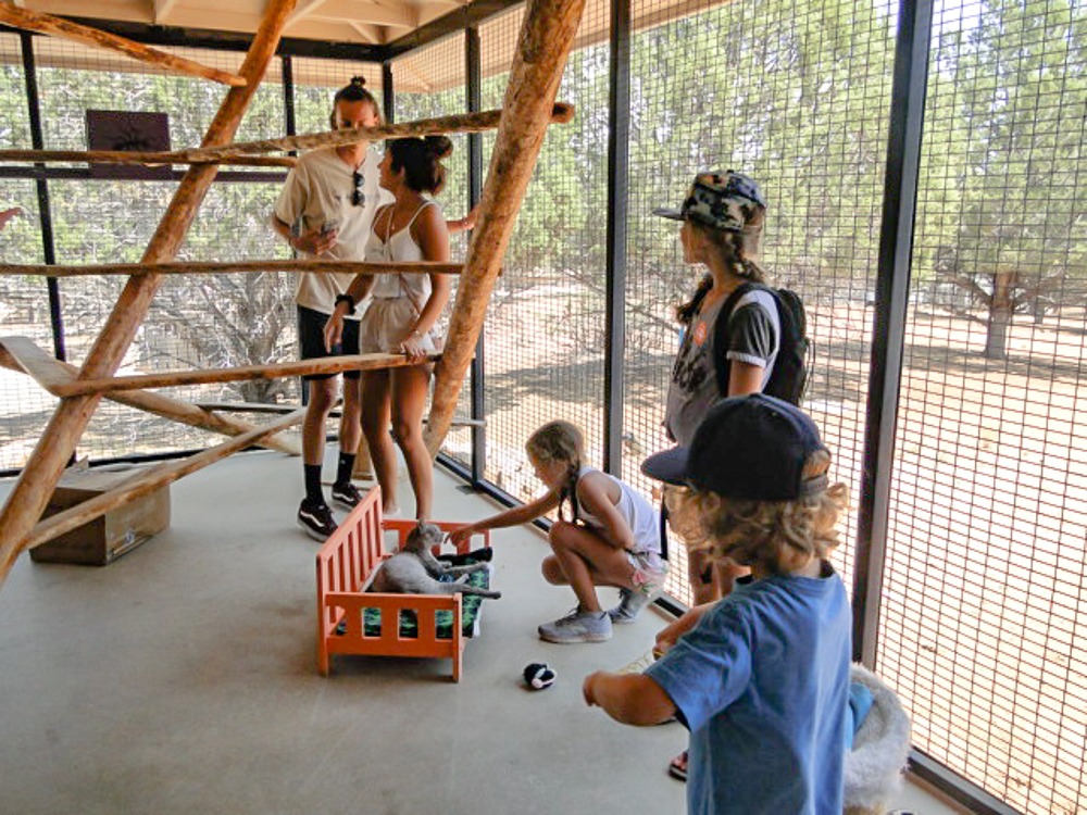 Best Friends Animal Sanctuary Utah Maude
