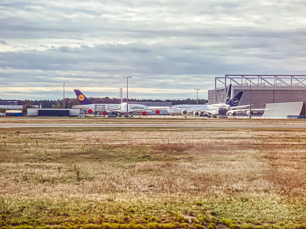 Lufthansa A330 Business Class 58