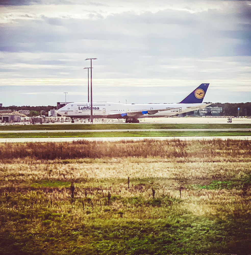 Lufthansa A330 Business Class 60