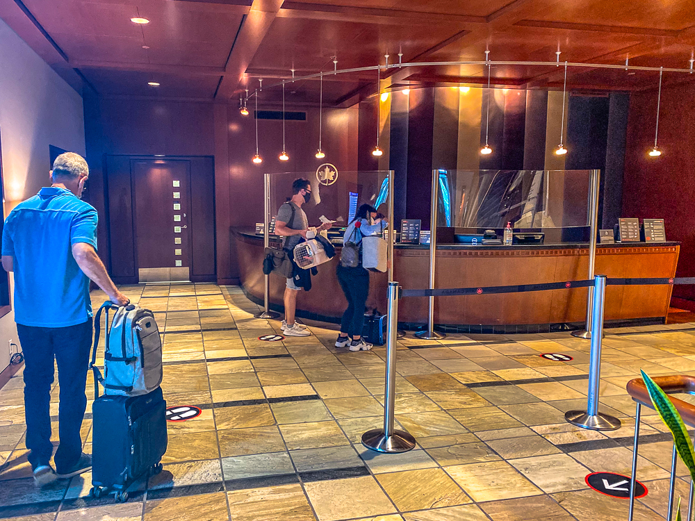 salon feuille erable air canada yvr covid-19-19