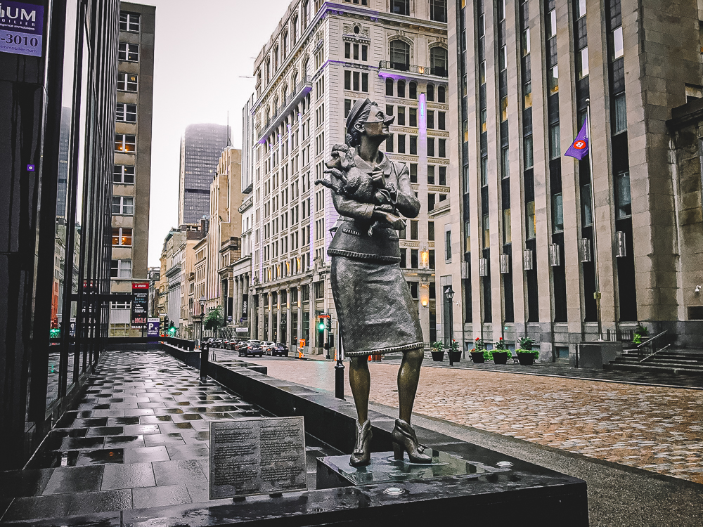 Springhill Suites Vieux Montreal Le Caniche Francais