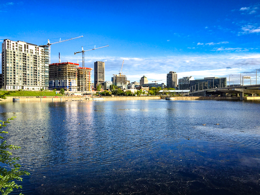 Springhill Suites Vieux Montreal Vieux Port 14