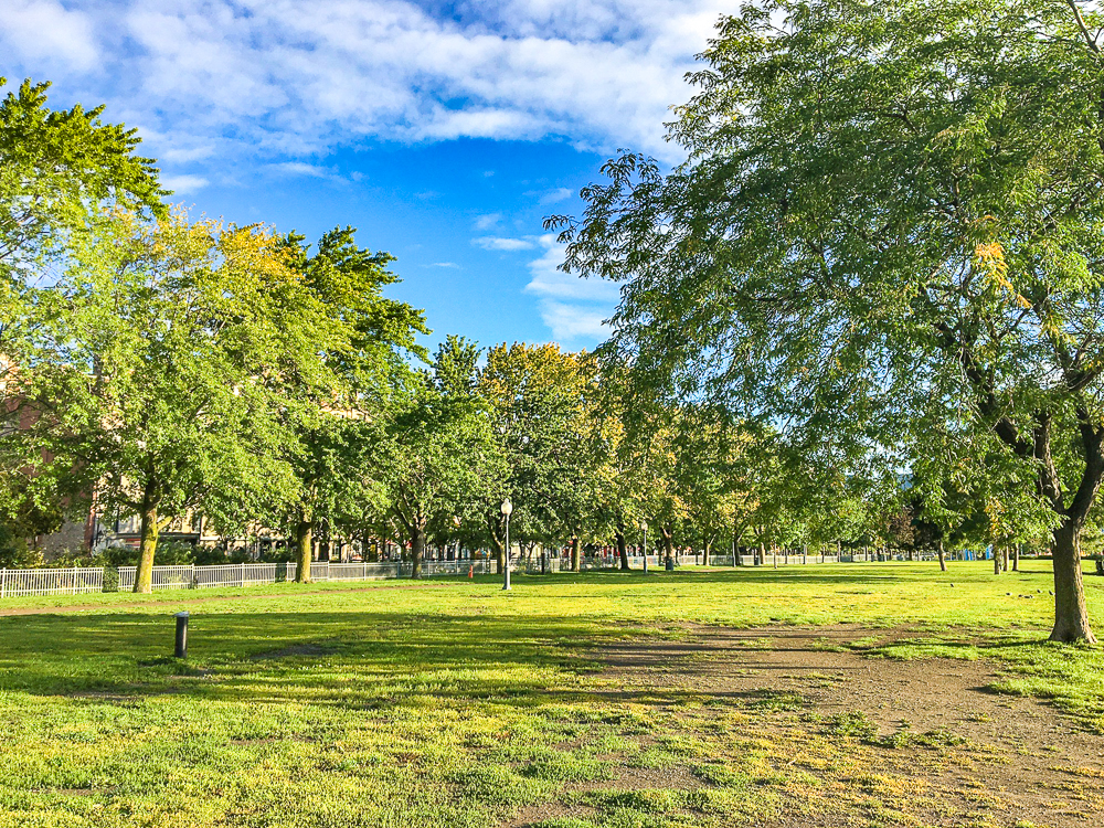 Springhill Suites Vieux Montreal Vieux Port 15