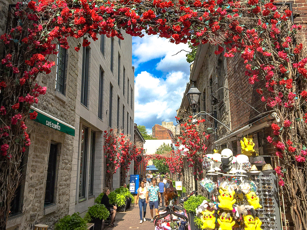 Springhill Suites Vieux Montreal Vieux Port 3