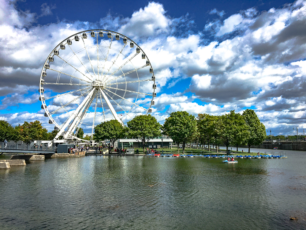Springhill Suites Vieux Montreal Vieux Port 6