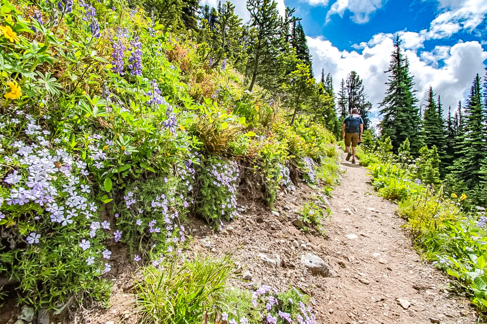 Colombie Britannique 45