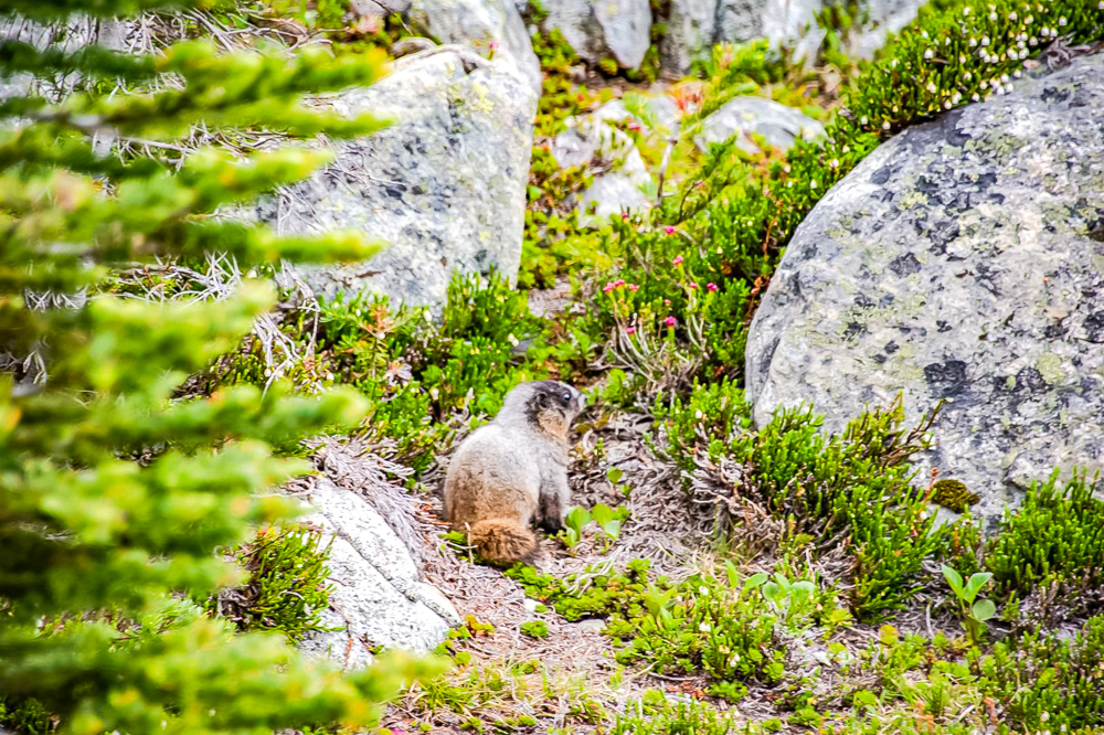 Colombie Britannique 48