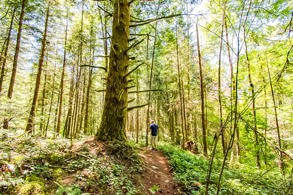 Colombie Britannique 95