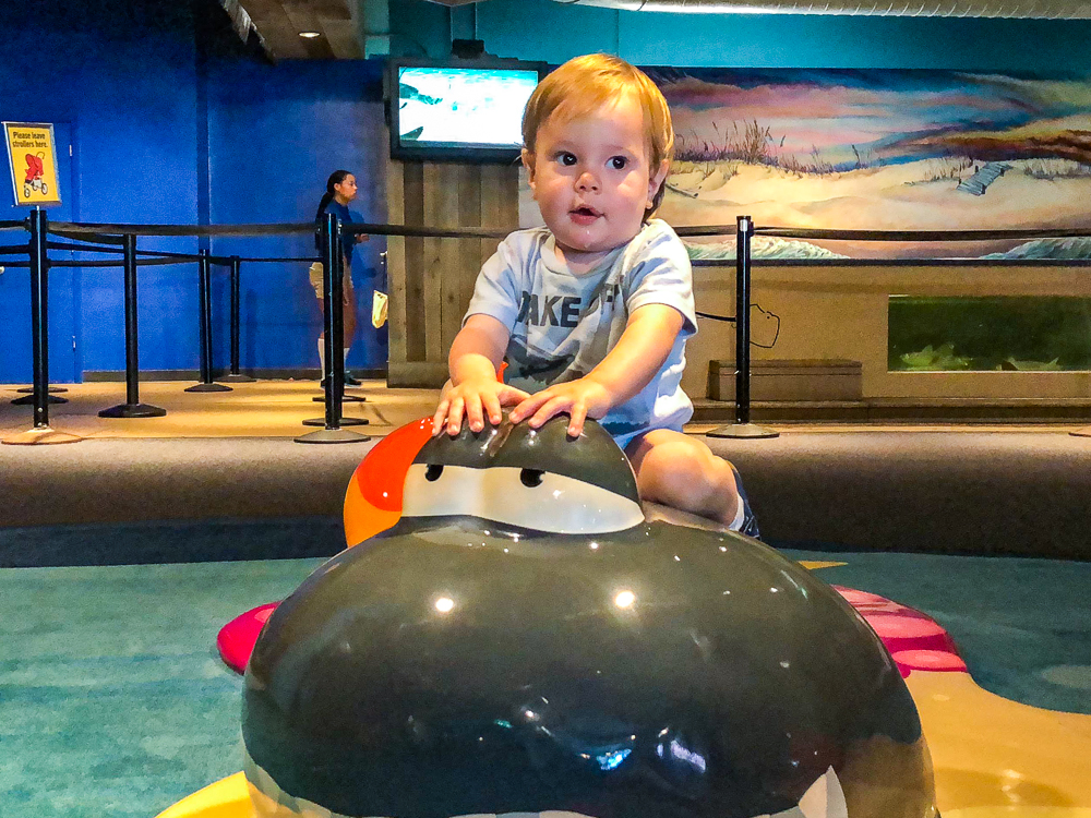 La Nouvelle Orleans 27