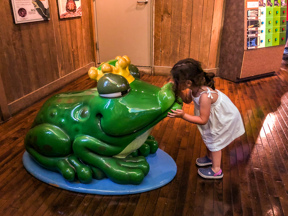 La Nouvelle Orleans 28