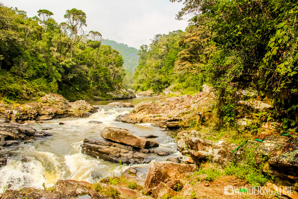 03-randonnée dans la forêt