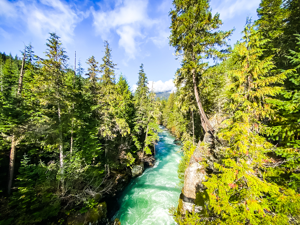 06 Riviere Cheakamus