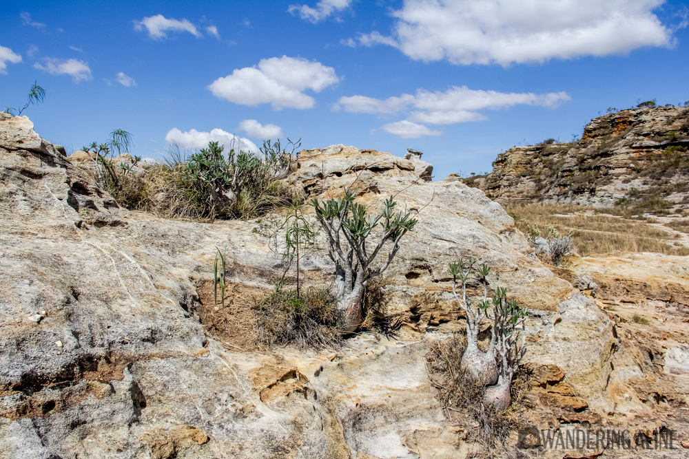 11-paysage désertique-2