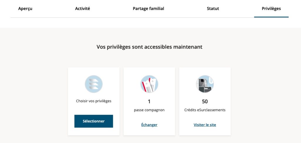 Buddy Pass Privileges Fr