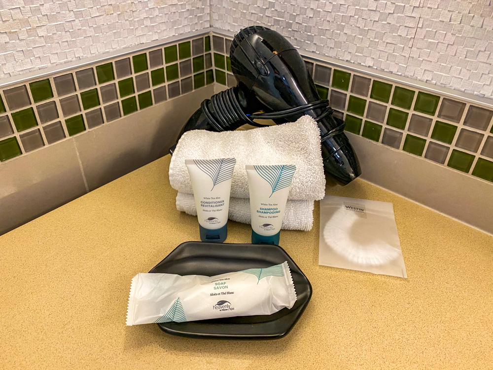 the westin bayshore vancouver-27