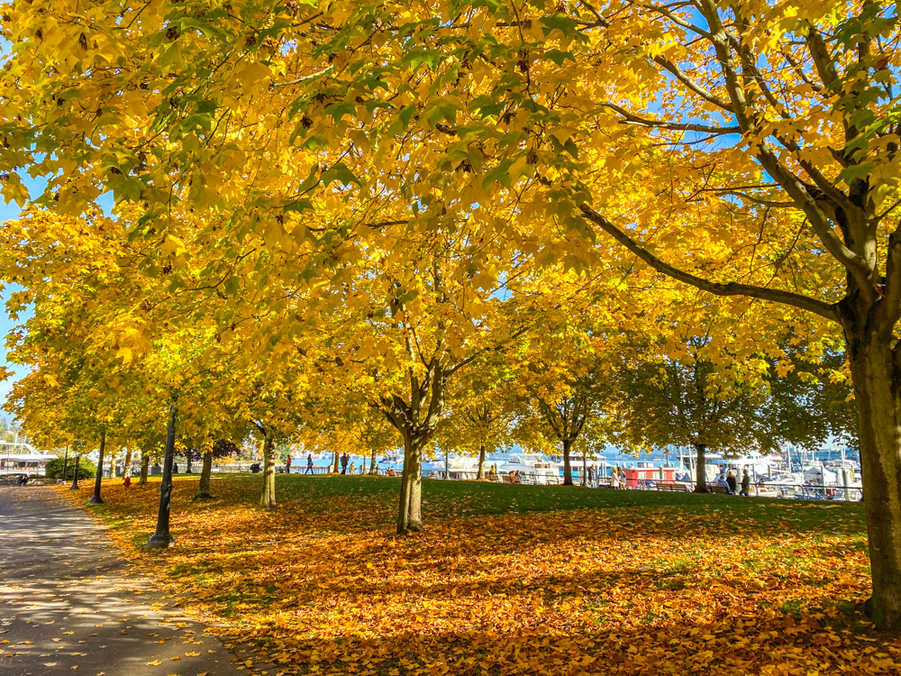 vancouver downtown-06