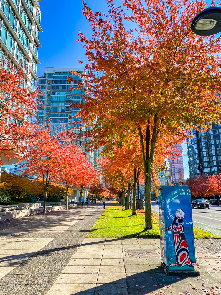 vancouver downtown-07