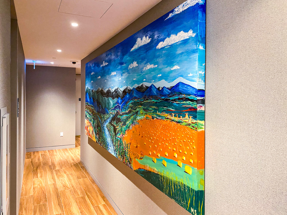 Westjet Elevation Lounge 36