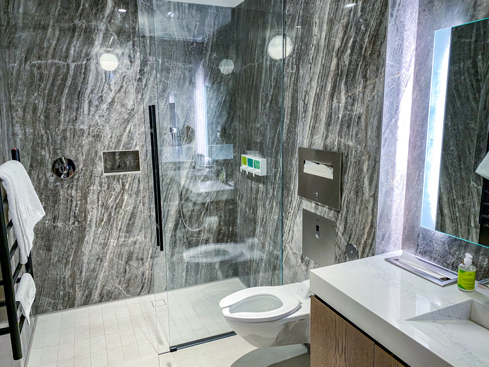 Westjet Elevation Lounge 41