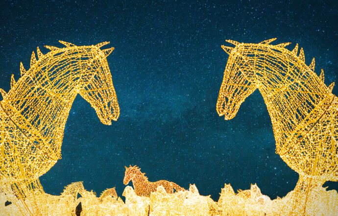 Credit: Illumi - Horses Cavalia