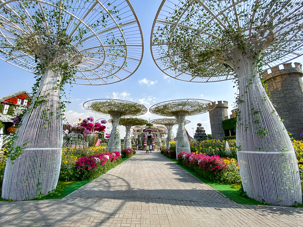 Experience De Voyage Avec Covid19 1052