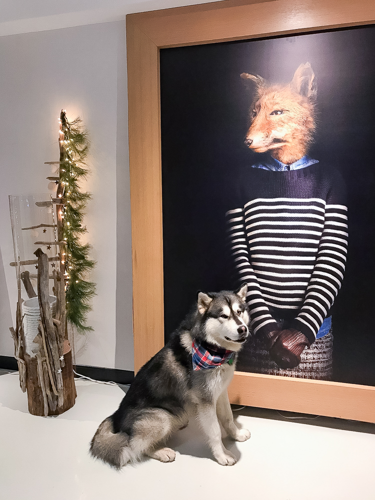 Hotel Pur Quebec A Tribute Portfolio Hotel 11