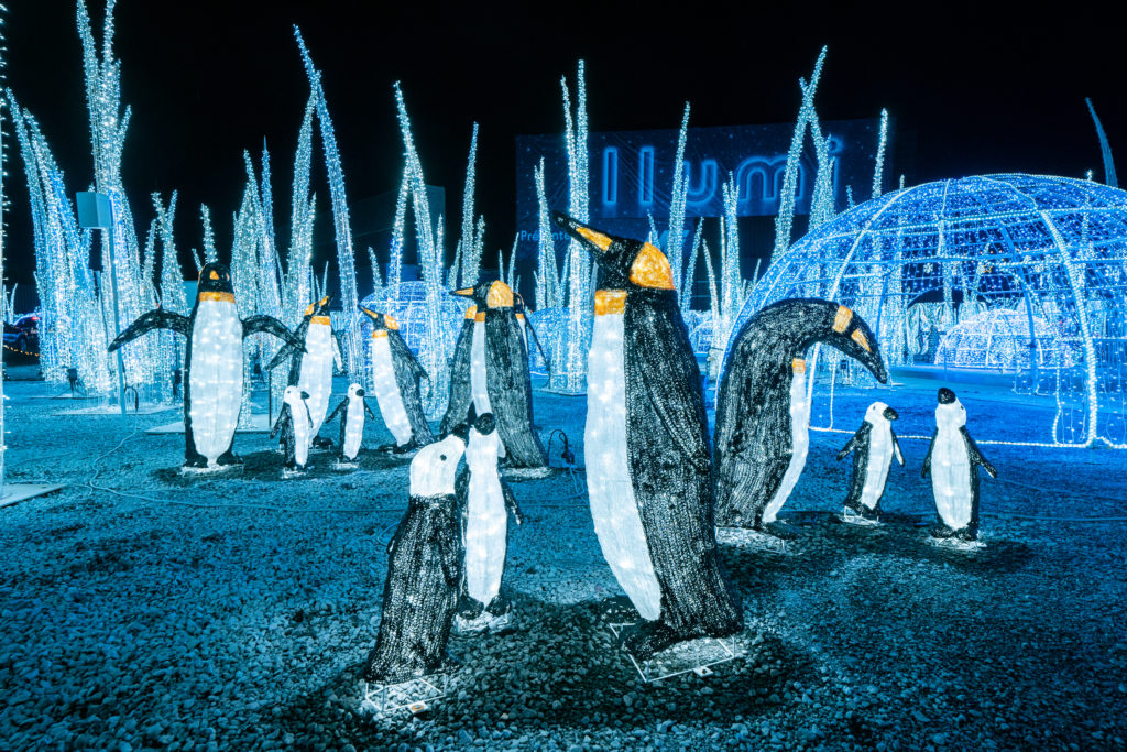 Illumi Bypatbeaudry 224