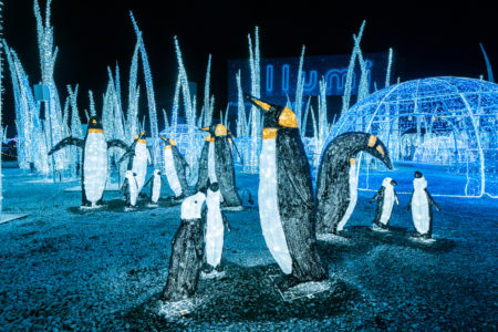 Illumi Bypatbeaudry 224