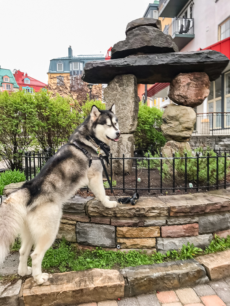 Le Westin Resort Spa Tremblant Quebec Zodiak 2