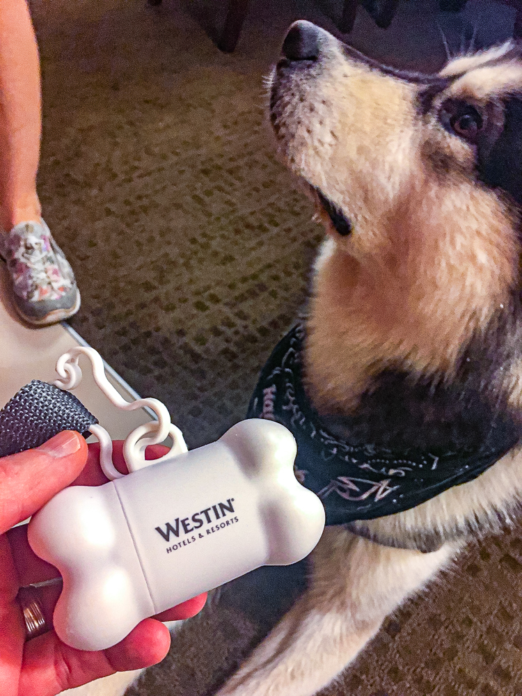 Le Westin Resort Spa Tremblant Quebec Zodiak