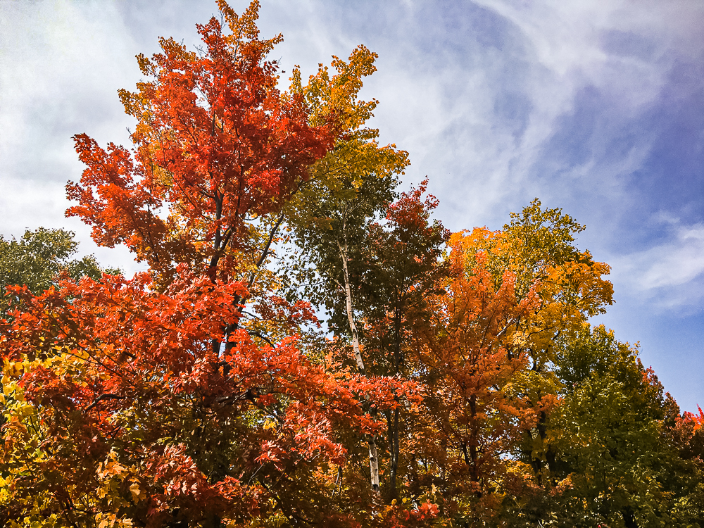 Residence Inn Mont Tremblant Manoir Labelle Promenade 57