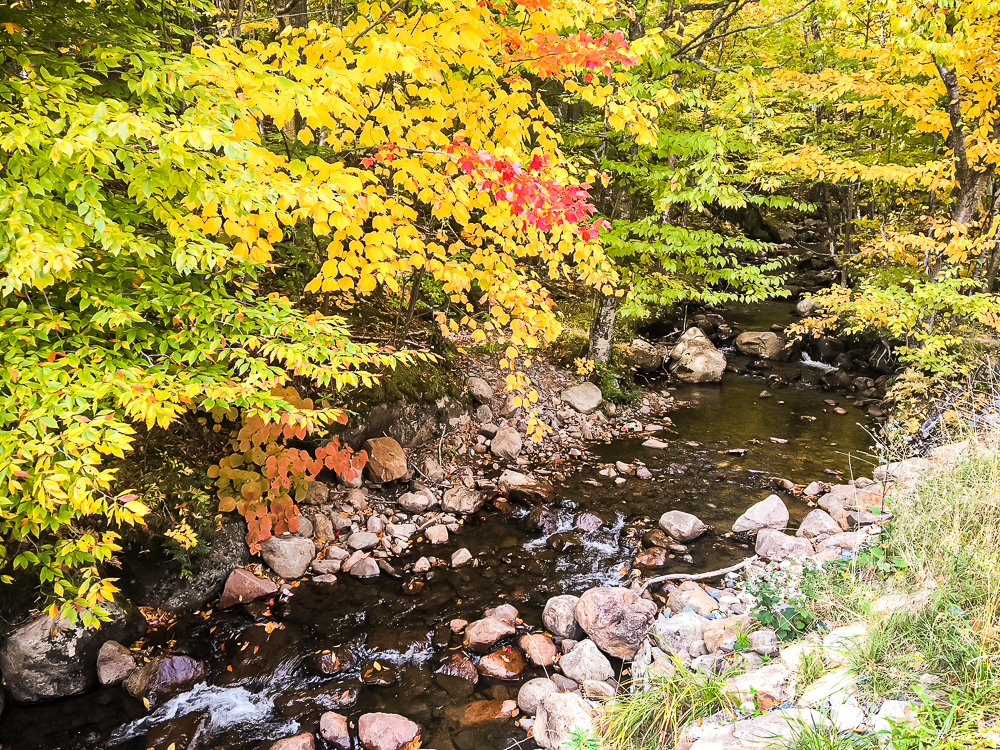 Residence Inn Mont Tremblant Manoir Labelle Promenade 58