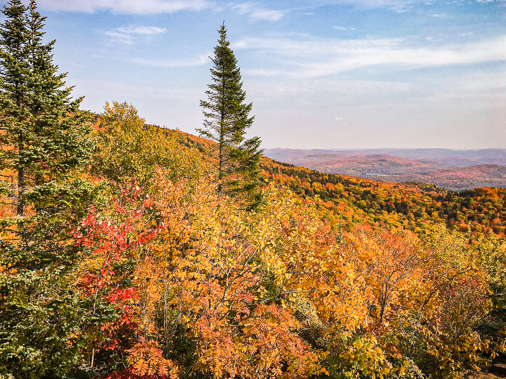 Residence Inn Mont Tremblant Manoir Labelle Promenade 62