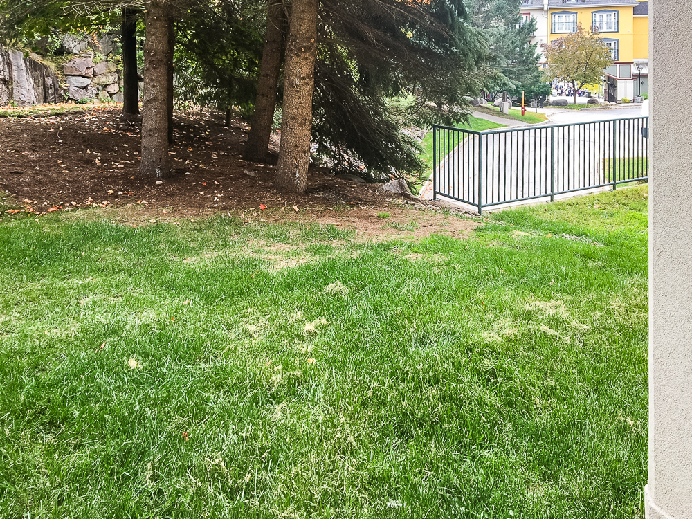 Residence Inn Mont Tremblant Manoir Labelle Suite 52