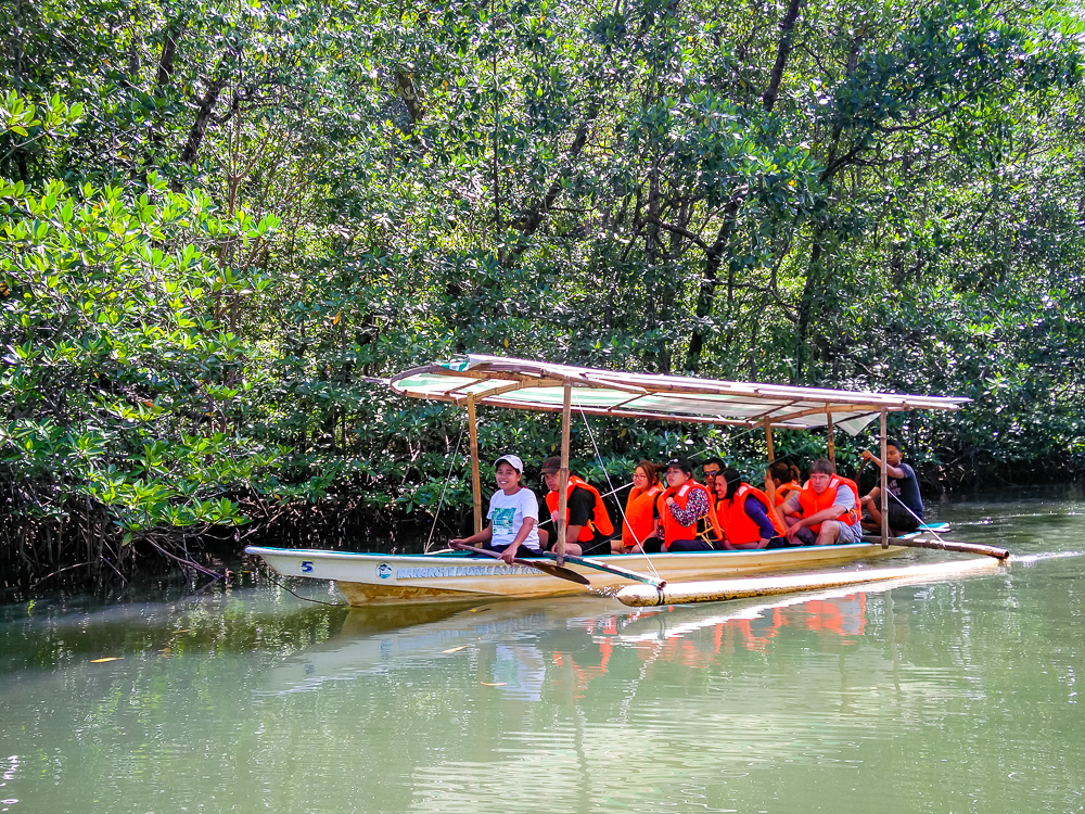 02 Mangrove Puerto Princesa