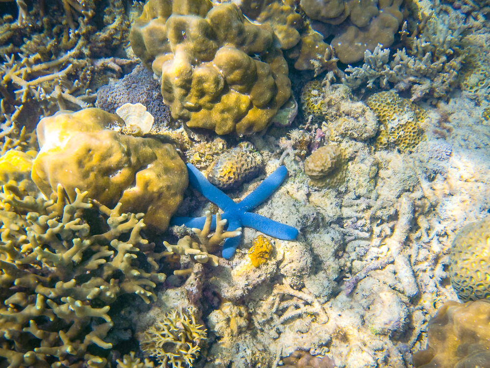 06 Helicopter Island El Nido