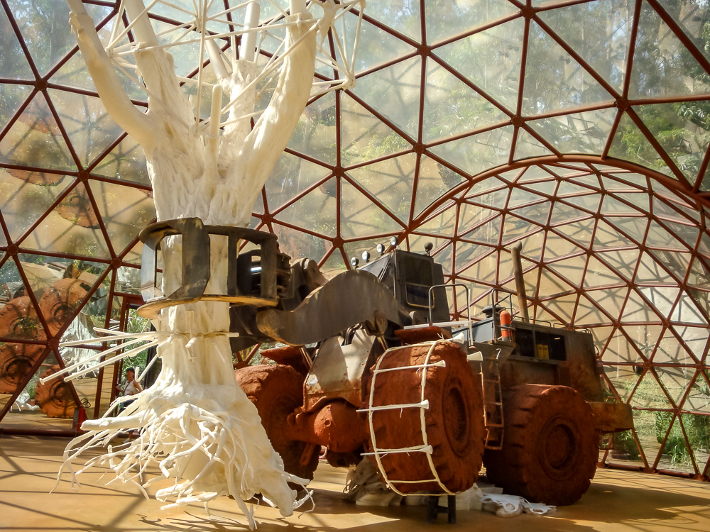 Institut Inhotim Environnement