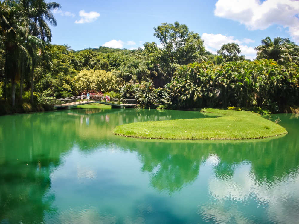 Institut Inhotim Lac